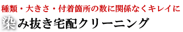 染み抜き　料金　宅配　クリーニング21.png